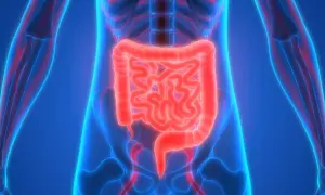 Anatomia jelit, które mogą emanera rano czy wieczorem, w neonowym, niebieskim tle.