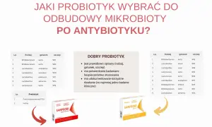 Tabela przedstawia probiotyki i prebiotyki do odbudowy mikrobioty po antybiotyku. Zastanawiasz się, ile razy dziennie probiotyk przy antybiotyku? Sprawdź!