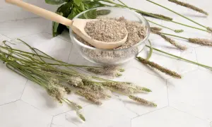 Suszone babka płesznik liście w misce, obok świeże kwiatostany i drewniana łyżka.