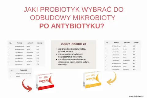 Tabela przedstawia probiotyki i prebiotyki do odbudowy mikrobioty po antybiotyku. Zastanawiasz się, ile razy dziennie probiotyk przy antybiotyku? Sprawdź!