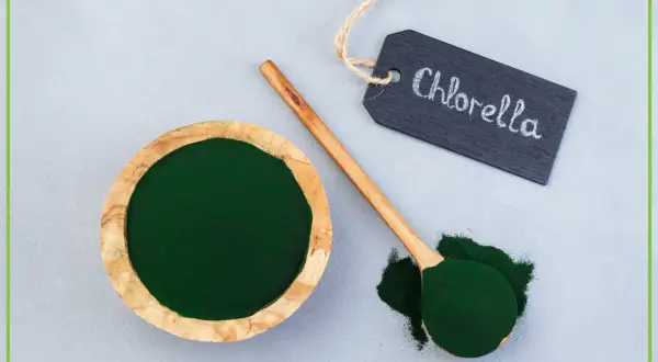Zielony proszek w drewnianej miseczce i na łyżce. Tabliczka z napisem "Chlorella" wyjaśnia, co to jest chlorella.