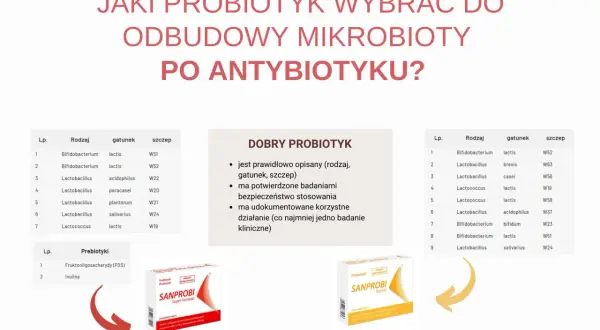 Tabela przedstawia probiotyki i prebiotyki do odbudowy mikrobioty po antybiotyku. Zastanawiasz się, ile razy dziennie probiotyk przy antybiotyku? Sprawdź!