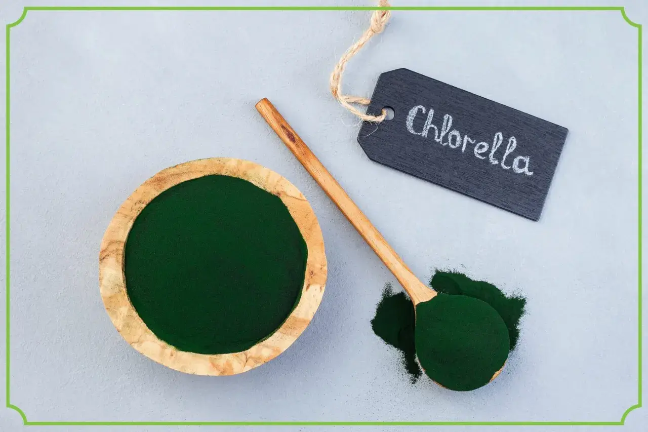 Zielony proszek w drewnianej miseczce i na łyżce. Tabliczka z napisem "Chlorella" wyjaśnia, co to jest chlorella.
