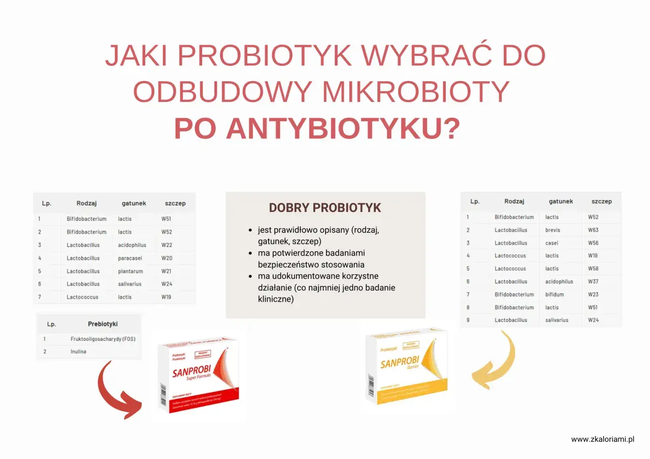 Tabela przedstawia probiotyki i prebiotyki do odbudowy mikrobioty po antybiotyku. Zastanawiasz się, ile razy dziennie probiotyk przy antybiotyku? Sprawdź!