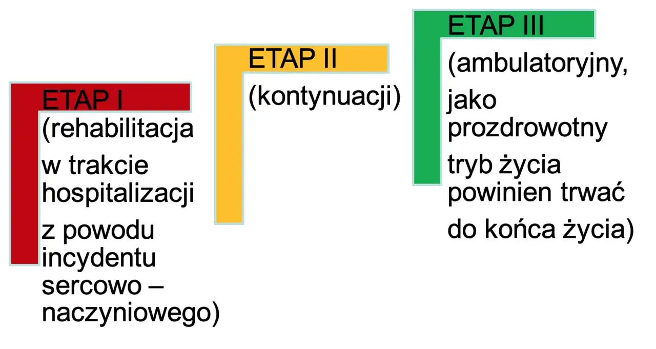 różne etapy rehabilitacji kardiologicznej infografika